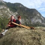 Gebietserntedankfest 2010