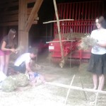 Was wäre Leutasch ohne Bauern?